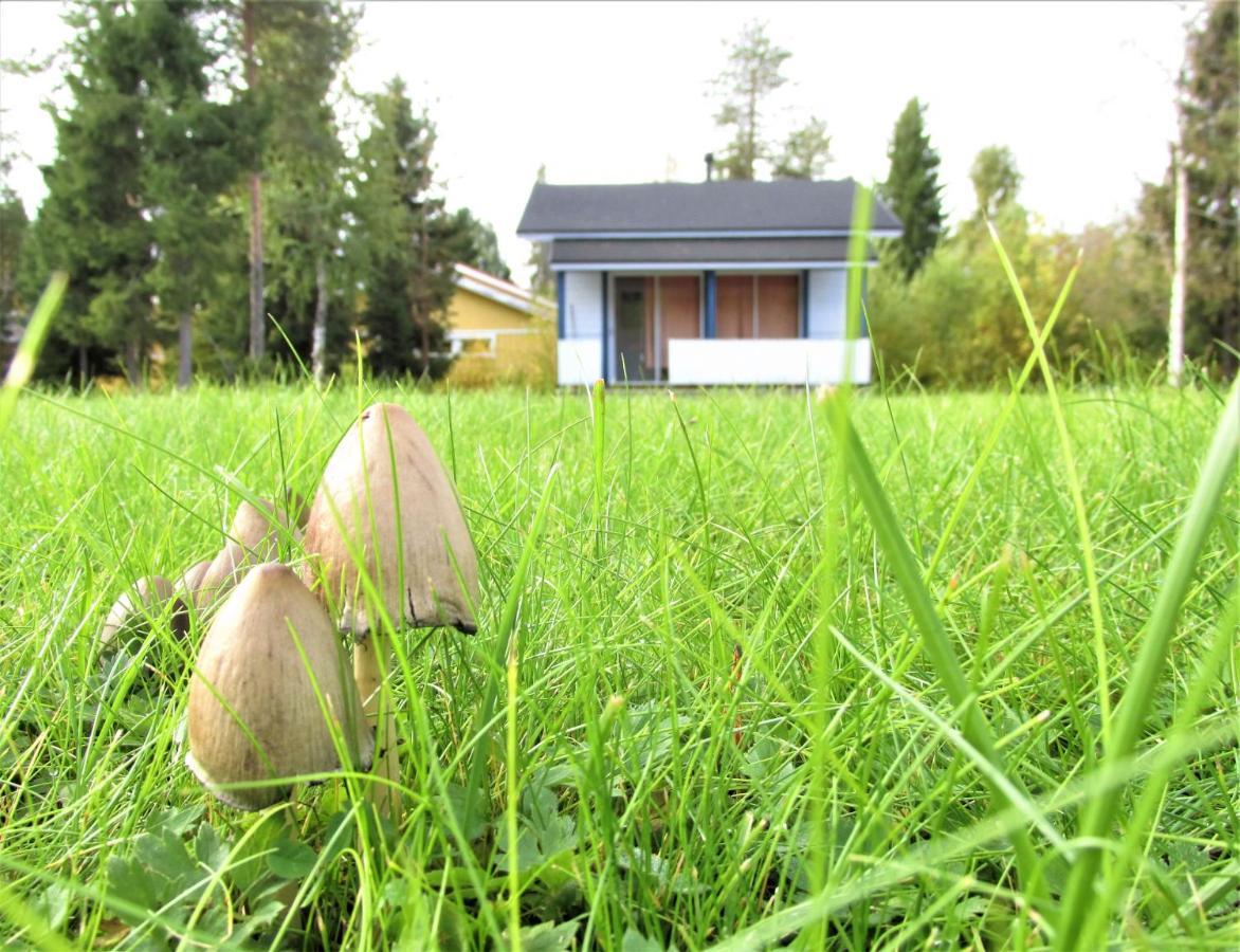 Scandinavian Dream Cottages Vikajarvi- Rovaniemi Country house Vikajarvi